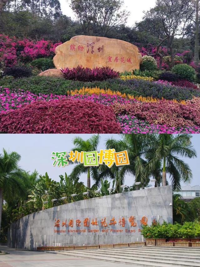 深圳周末好去處 國(guó)際園林花卉博覽園，賞花拍照兩不誤