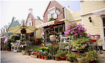 深圳免費景點推薦 探索花卉之美，擁抱自然芬芳