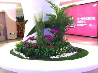 深圳辦公室花卉租擺與綠化養護服務，打造優雅辦公環境