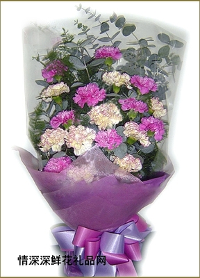 深圳花卉 都市繁華中的自然詩篇